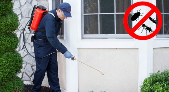 Sincan Kene İlaçlama böcek ilaçlama ve haşere kontrolü — ilaclama-tr.com